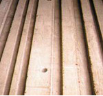 ProtectGuard Special Beton Frais 